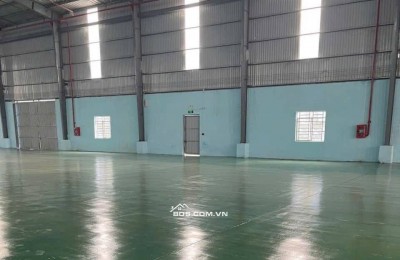Kho xưởng dưới Đình Vũ 2500m2, PCCC tự động, làm được FDI, khuôn viên rộng 3ha